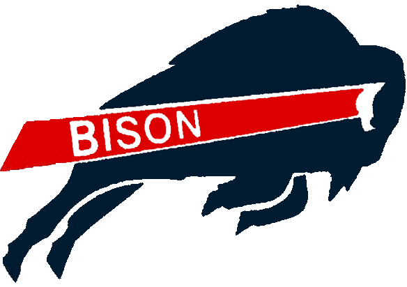 Howard Bison logos iron-ons
